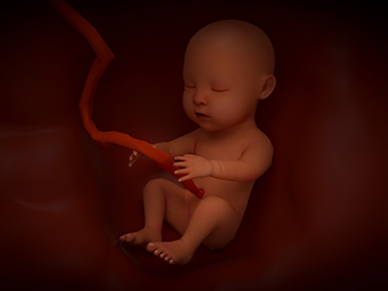 資訊〡國家衛健委發布《全國出生缺陷綜合防治方案》