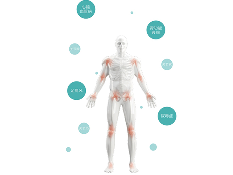 痛風(fēng)個體化用藥基因檢測